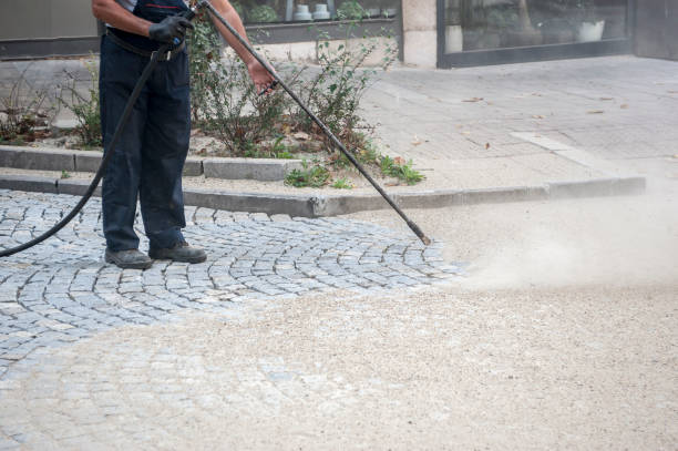 Best Gutter Cleaning  in Gray, TN